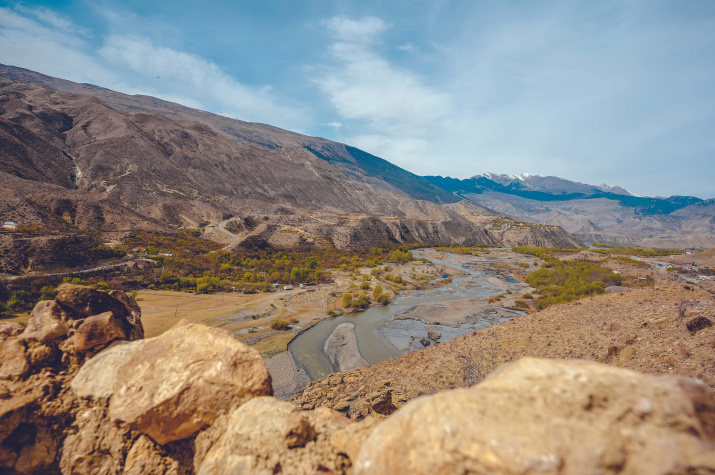 Фото: Дарья Шатова