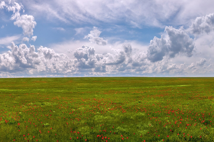 Фото: Фёдор Лашков, участник конкурса "Самая красивая страна" Фото: Фёдор Лашков, участник конкурса "Самая красивая страна"