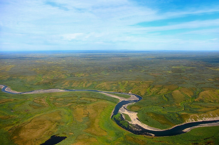 Бескрайняя тундра. Фото: Александр Обоимов