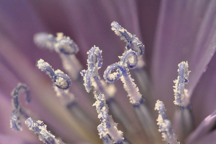 Фото: Ростислав Гизатулин, участник фотоконкурса РГО "Самая красивая страна - 2021"