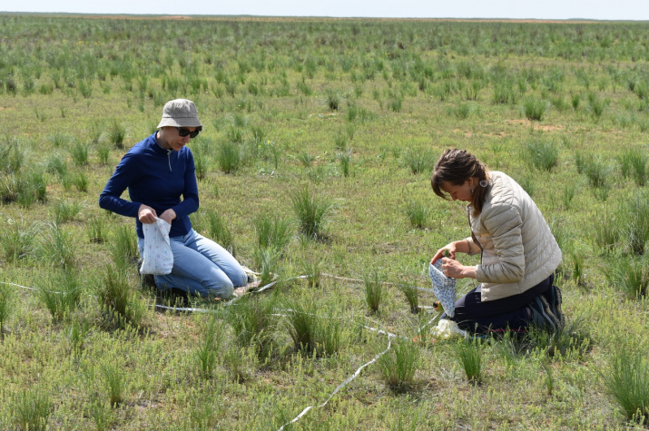 Фото: пресс-служба Географического факультета МГУ