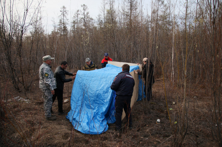 Отлов медведицы. Фото: Telegram-канал АК "Полярные авиалинии"