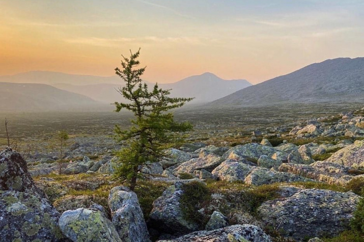 Фото Олега Чегодаева Фото Олега Чегодаева