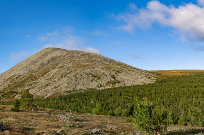 Фото предоставлено Алексеем Кляниным Фото предоставлено Алексеем Кляниным