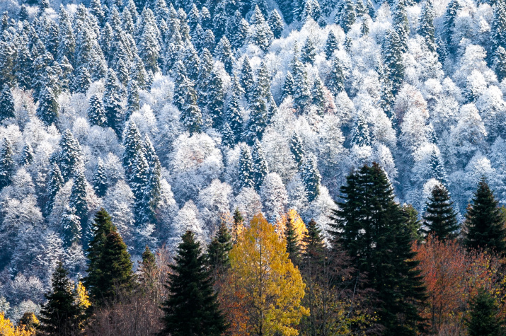 Изменения природы. Фото: Илья Епишкин, участник фотоконкурса РГО "Самая красивая страна"