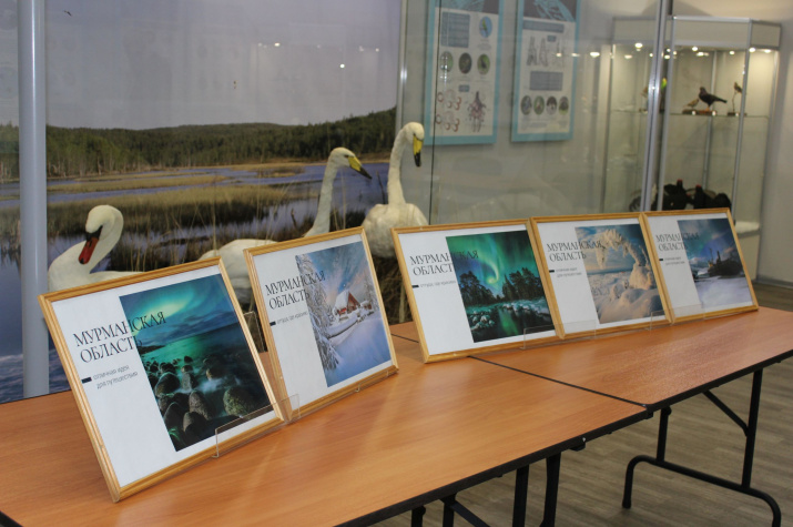 Postcard mockups. Photo provided by the Murmansk Regional Museum of Local Lore