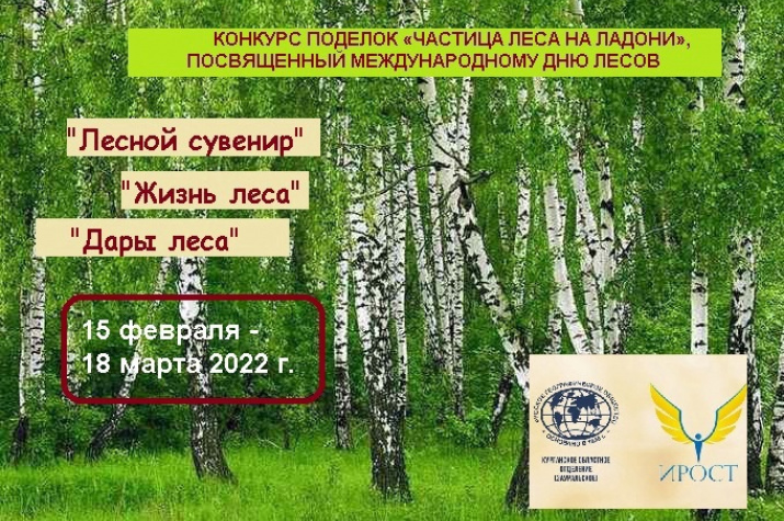 Частица леса на ладони. Конкурс поделок Частица леса на ладони. Конкурс поделок
