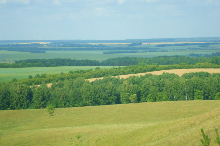 Шаранский район. Фото пресс-службы РО РГО в РБ