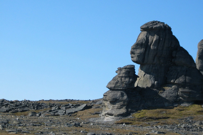 «Каменные люди» Арктики. Фото А. Обоимова 