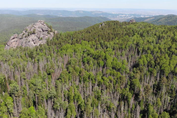 Заповедная зона. Фото НП "Красноярские Столбы"