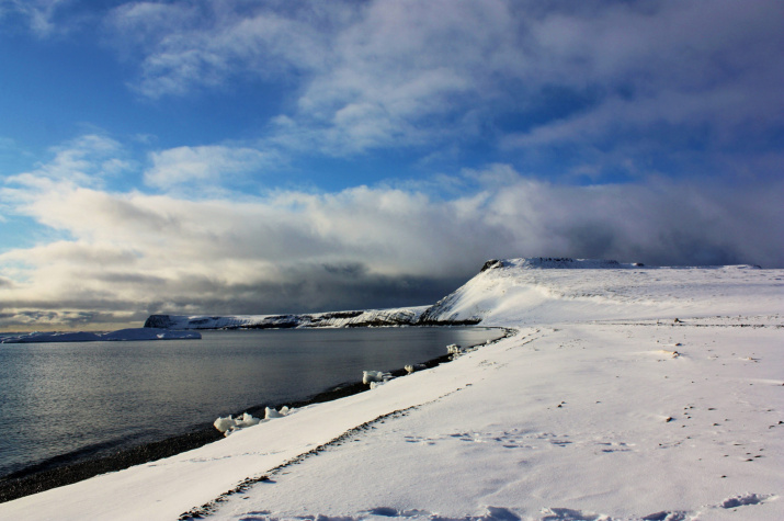 Остров Беннетта. Фото автора Остров Беннетта. Фото автора