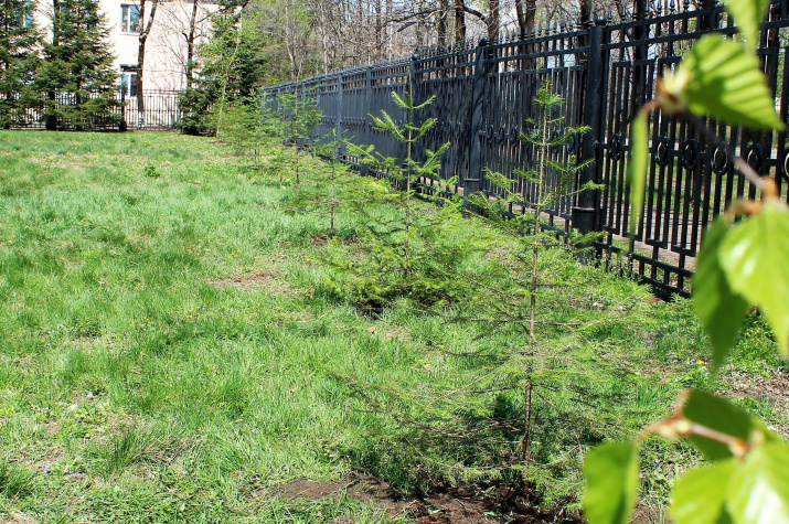 Автор фото Мошкина Татьяна