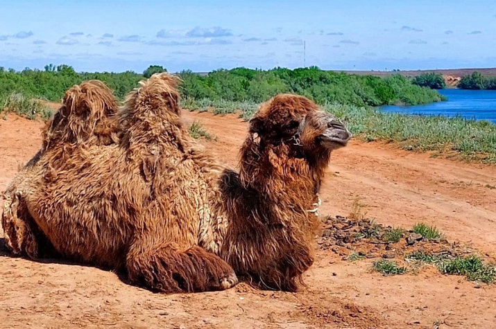 Фото: Юрий Привалов