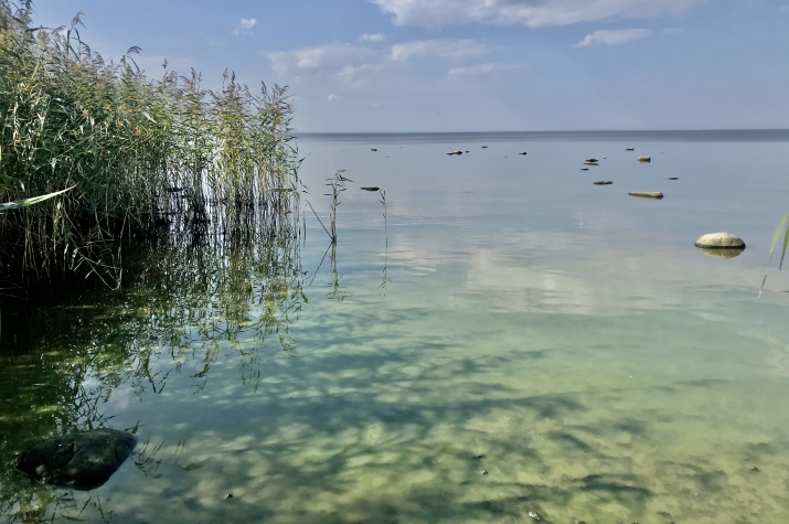 Фото: Шаталов Владимир и Кашицин Александр
