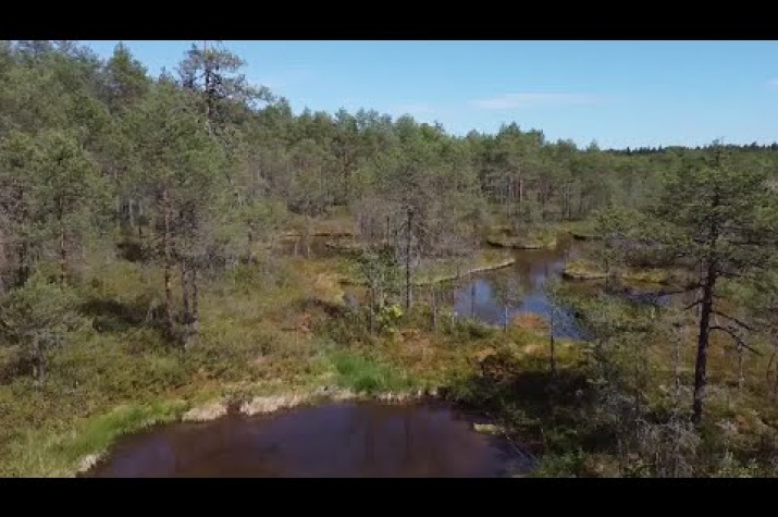 Кострома Заповедная. Фото предоставлено ТК "Русь"