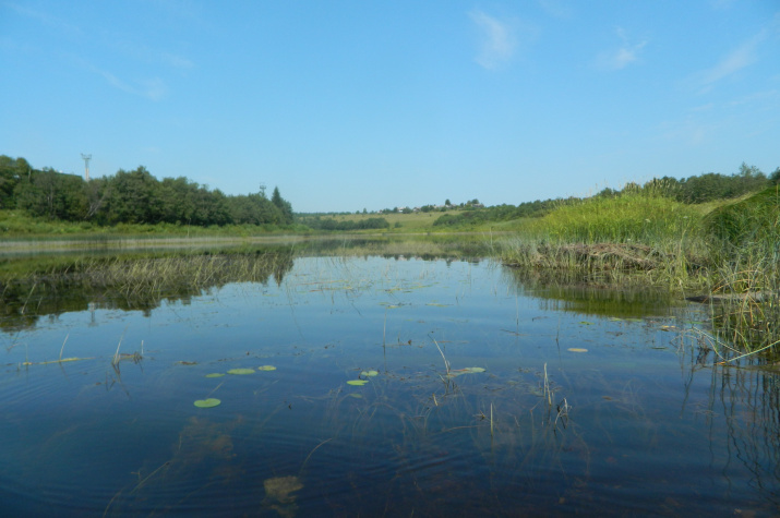 Река Кубена. Фото: Екатерина Старостина