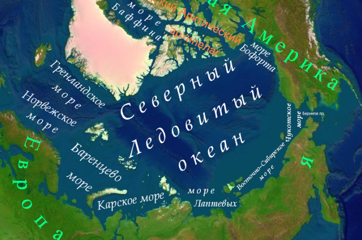 Арктика. Источник: wikipedia.org