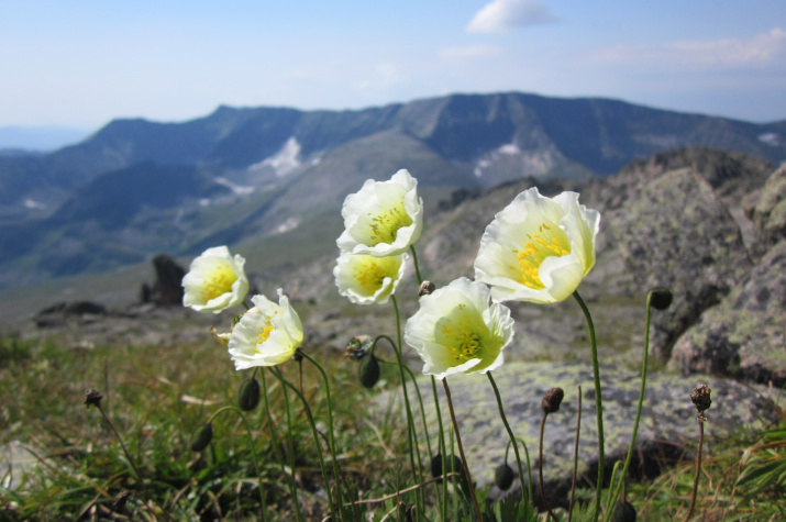 Золотая долина Хакасии. Фото Сергея Ерофеева