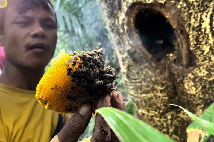 Комплексная экспедиция Русского географического общества продолжает работу в Индии. В городе Черапунджи, штат Мегхалая, местные жители активно занимаются пчеловодством. Фото: Леонид Круглов