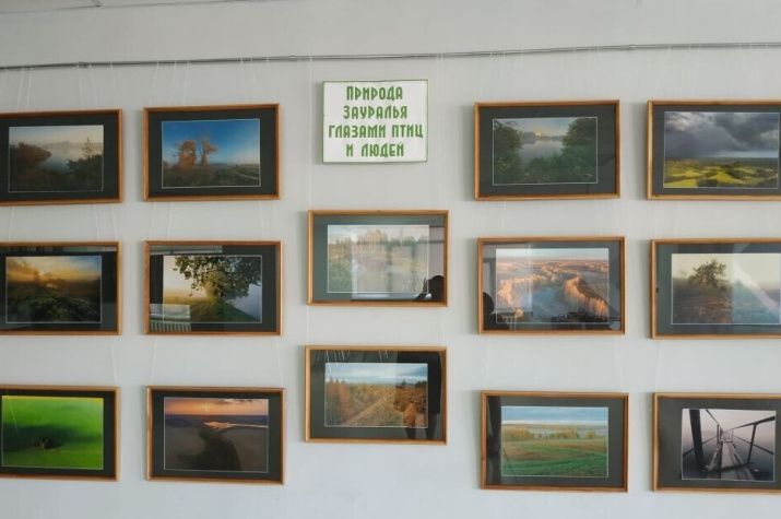 Фотовыставка "Природа Зауралья глазами птиц и людей" 