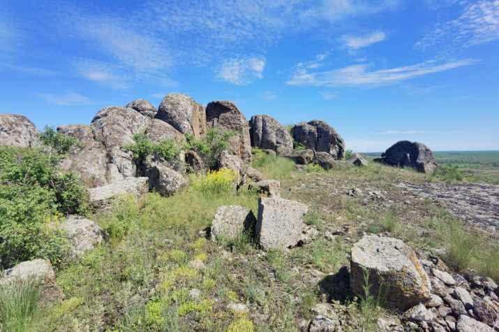 Гранитные выходы заповедника "Каменные Могилы". Фото: Александр Чибилёв