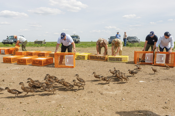 Фото: Дмитрий Норов