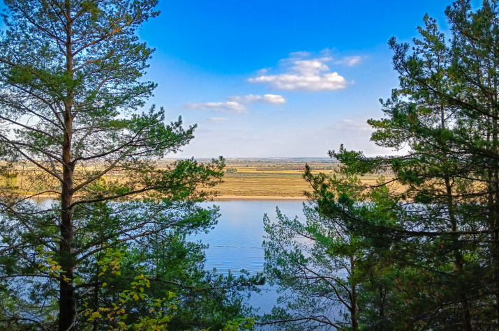 Автор: Юлия Лукьянова 