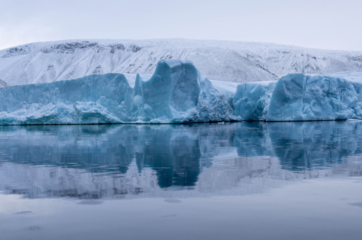 Ushakov Island is completely covered with ice. Photo: Leonid Kruglov