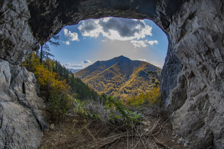 Фото предоставлено АКО ВОО РГО