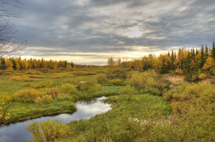 Заполярная осень. Фото: Сергей Андриянов