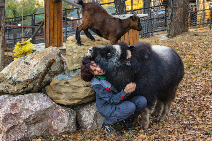Спасённая Алана. Фото: Олег Чипура