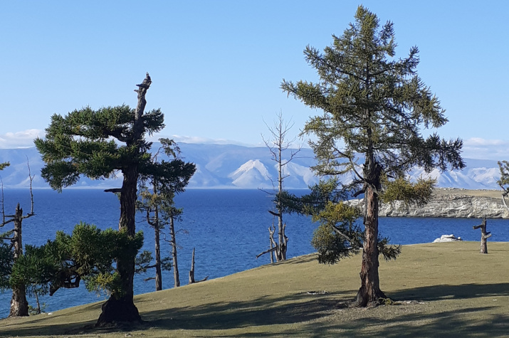 Харанцы