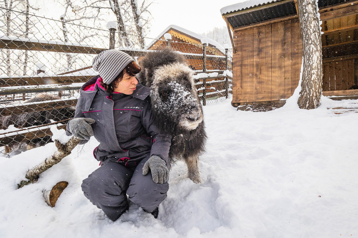 Алана в новом вольере. Фото: Олег Чипура