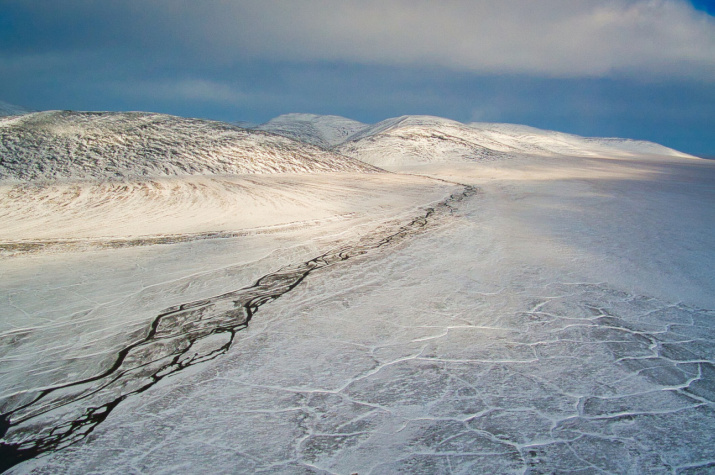 Wrangel Island. Photo: Maxim Lyamenkov, participant of the RGS’s contest "The Most Beautiful Country"