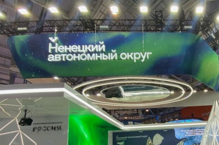 Приезжайте увидеть сполохи вживую! Фото: Матвей Чупров