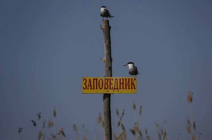 Фото: Анна Лукьянчикова, участник конкурса РГО «Самая красивая страна»