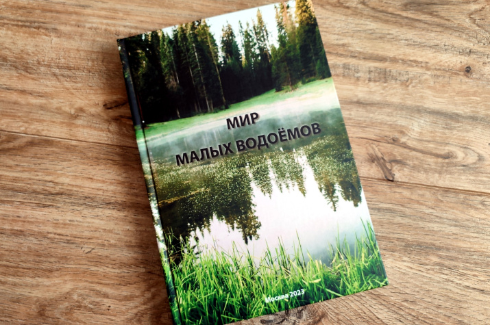 Фотоматериал Алексея Шевырдяева