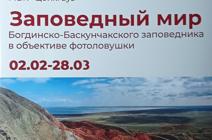 Афиша