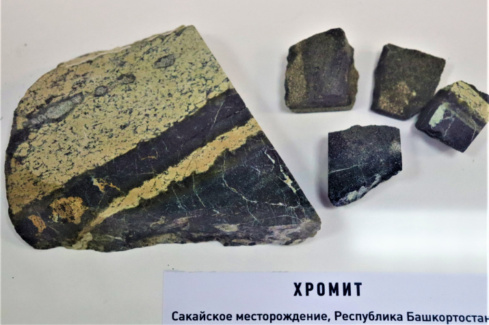Выставка минералов в штаб-квартире РО РГО в РБ. Фото: пресс-служба РО РГО в РБ