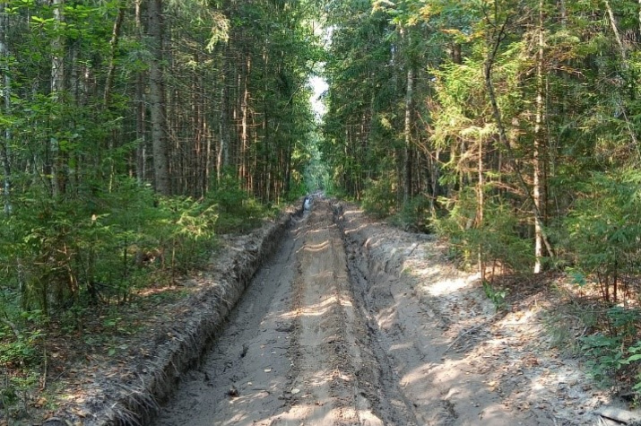 Удивительно, но здесь кода-то ходили поезда Удивительно, но здесь кода-то ходили поезда