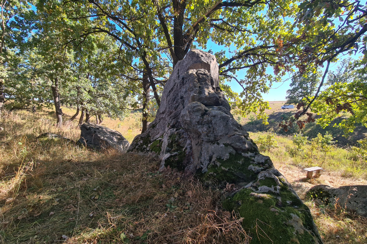 Большой камень в лощине Тарасов верх. Фото: Арман Карапетян