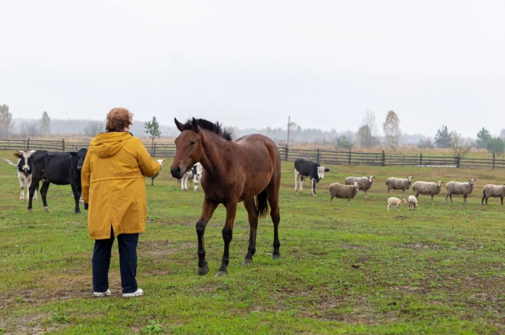 общение с обитателями подворья