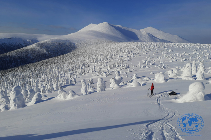 Фото: Евгений Жаравин