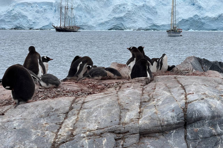 Отправиться за Южный полярный круг под парусом могут только самые отважные путешественники. Фото из архива Марины Клочковой