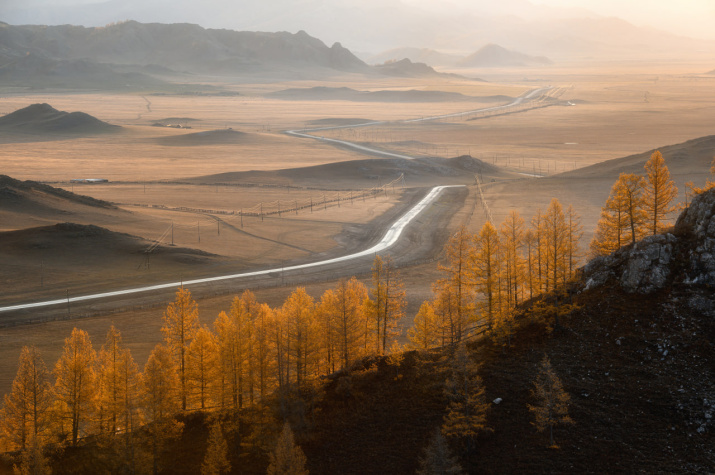 Золото Алтайских дорог