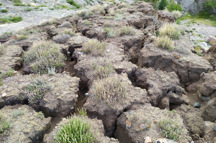 Окрестности с. Бельтир (Республика Алтай, Кош-Агачский район). Район землетрясения 2003 года. Фото: Нины Кочеевой