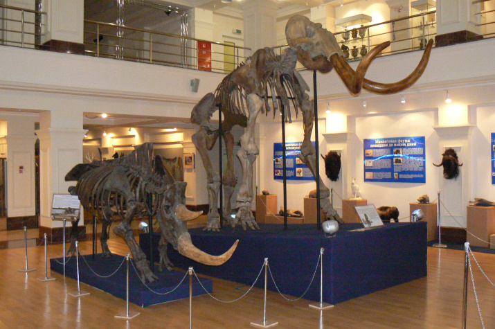 Центральный зал МВК им. И. С. Шемановского. Фото: Игорь Кузнецов. Центральный зал МВК им. И. С. Шемановского. Фото: Игорь Кузнецов.