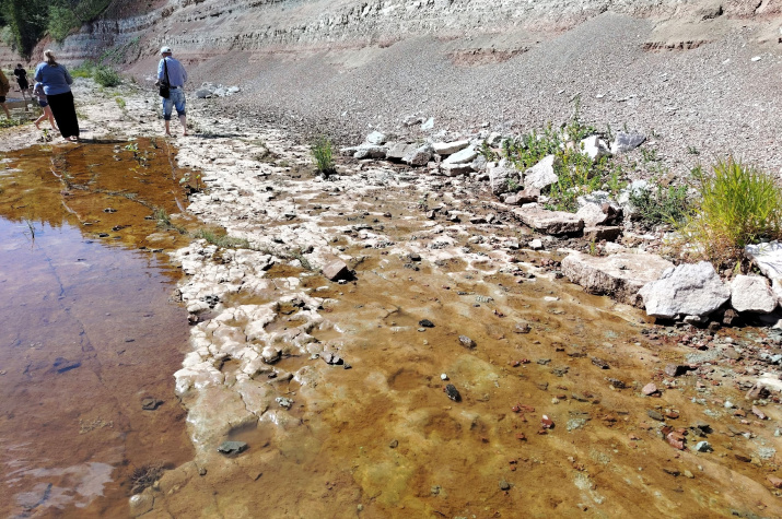 Следовая дорожка парейазавров. Фото: предоставлено Валерием Чернышовым.
