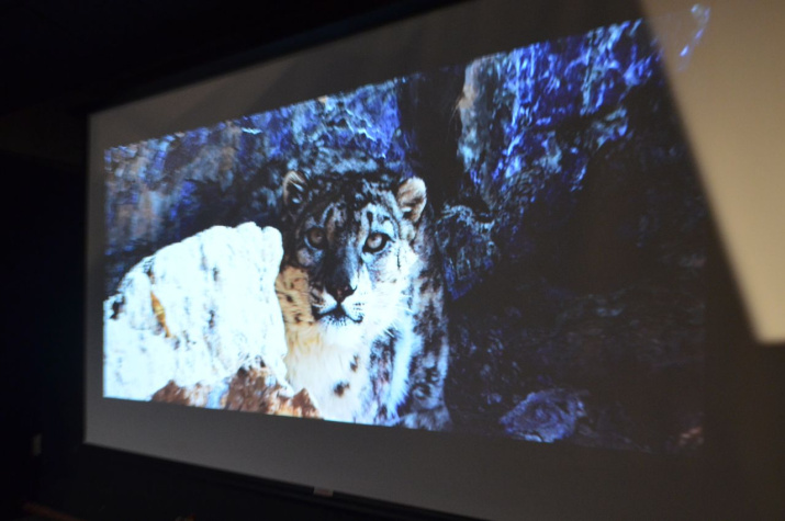 Фильм «Хозяин Алтайских гор». Фото: Анны Юрьевой