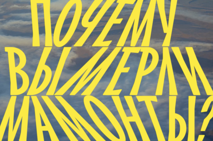 Самая северная кинопремьера в истории России